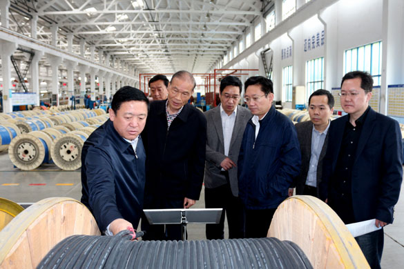 4月25日，青海省海南州州长来彩神购彩-购彩大厅入口电缆考察